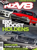 NZV8